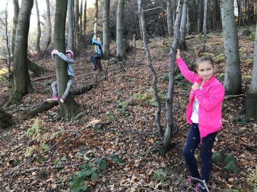 Sokolská procházka na Velký Lopeník - 27.10.2019