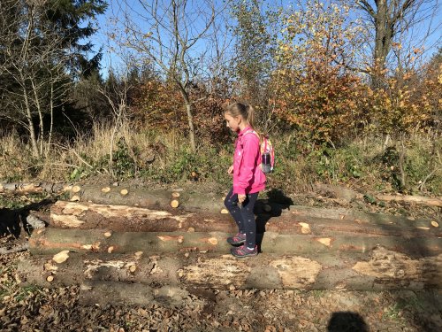 Sokolská procházka na Velký Lopeník - 27.10.2019