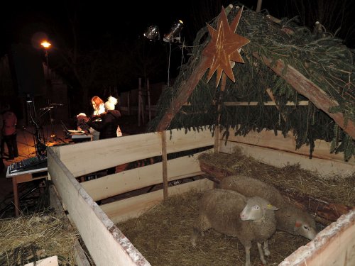 Živý Betlém a Česko zpívá koledy v Podolí - 11.12.2019