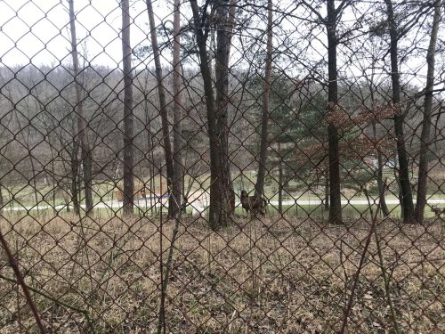 Silvestrovský pochod - 31.12.2019