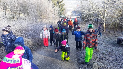 Novoroční procházka malých Sokolů do Lipin - 2.1.2020