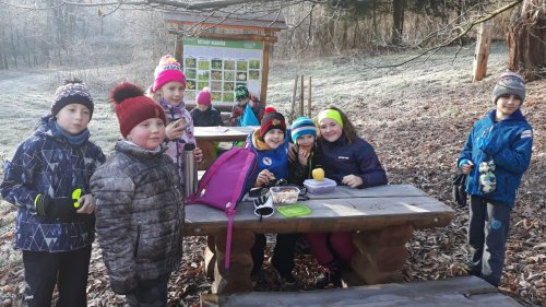 Novoroční procházka malých Sokolů do Lipin - 2.1.2020