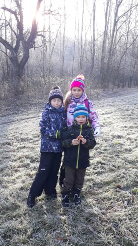 Novoroční procházka malých Sokolů do Lipin - 2.1.2020