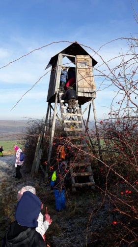 Novoroční procházka malých Sokolů do Lipin - 2.1.2020