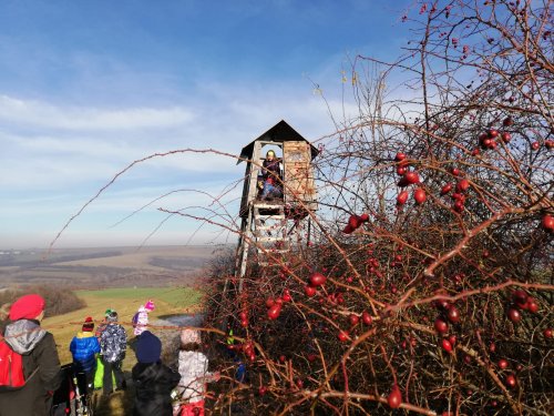 Novoroční procházka malých Sokolů do Lipin - 2.1.2020