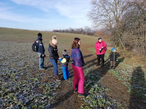 Novoroční procházka malých Sokolů do Lipin - 2.1.2020
