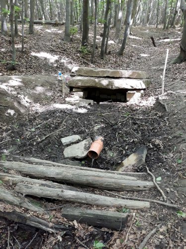 Vycházka k pramenu Olšavy - 6.6.2020