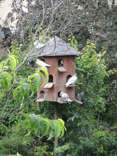 Podoláci a Podolané se poprvé setkali v Podolí - 2.8.2020