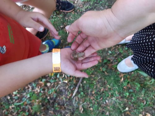 Sokolské zálesácké odpoledne - 12.8.2020