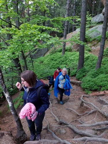 Vycházka na hrad Brumov a Pulčinské skály - 29.5.2021