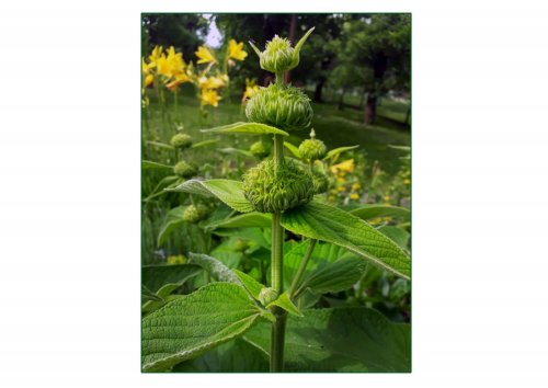 Výsledky fotosoutěže 2020 - 17.6.2021