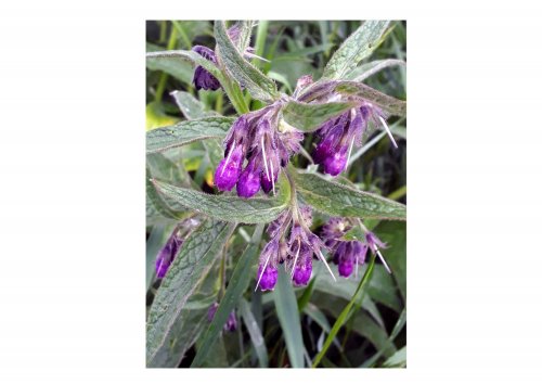 Výsledky fotosoutěže 2020 - 17.6.2021