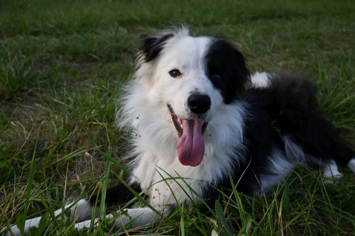 Výsledky fotosoutěže 2020 - 17.6.2021