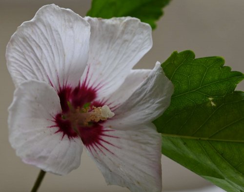 Výsledky fotosoutěže 2020 - 17.6.2021