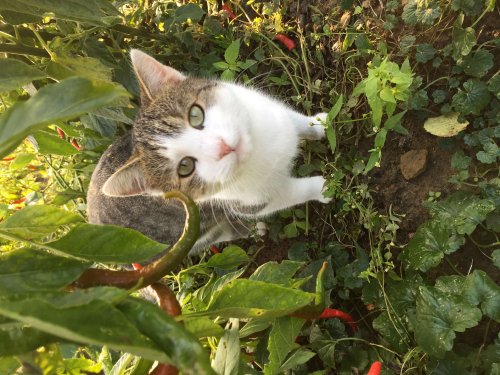 Výsledky fotosoutěže 2020 - 17.6.2021