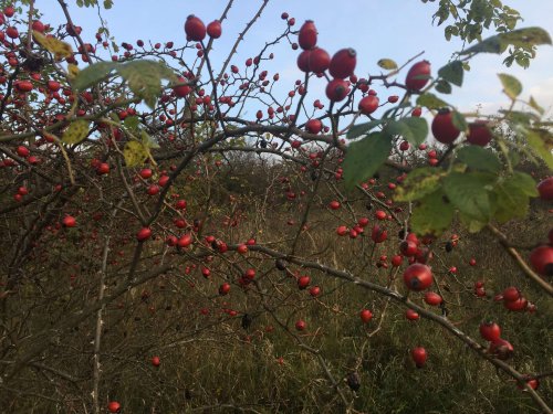 Výsledky fotosoutěže 2020 - 17.6.2021