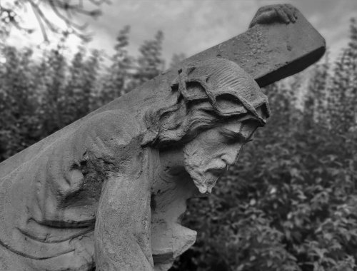 Výsledky fotosoutěže 2020 - 17.6.2021