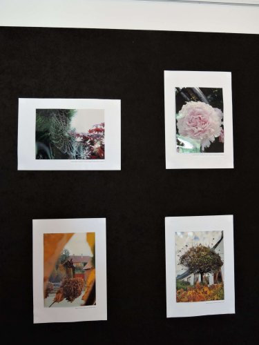 Představení knihy Podolí - Obec nad Olšavou - 13.6.2021