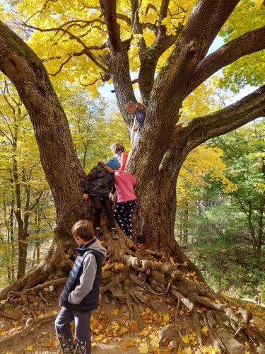 Vycházka na zříceninu hradu Zuvačov a Modrou vodu - 27.10.2021