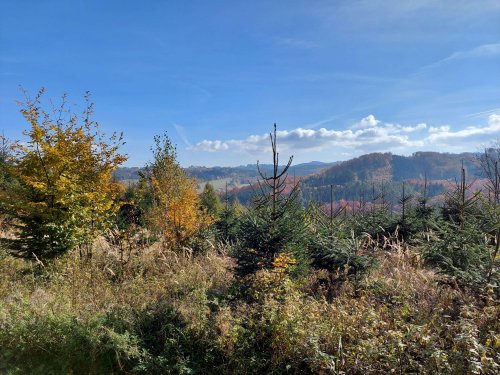 Vycházka na zříceninu hradu Zuvačov a Modrou vodu - 27.10.2021