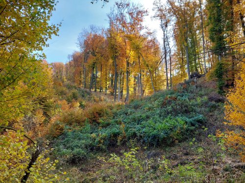 Vycházka na zříceninu hradu Zuvačov a Modrou vodu - 27.10.2021