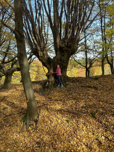 Vycházka na zříceninu hradu Zuvačov a Modrou vodu - 27.10.2021