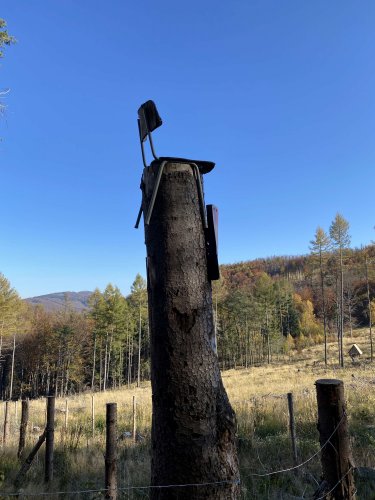 Vycházka na Svatý Hostýn a do Hostýnských vrchů - 29.10.2021