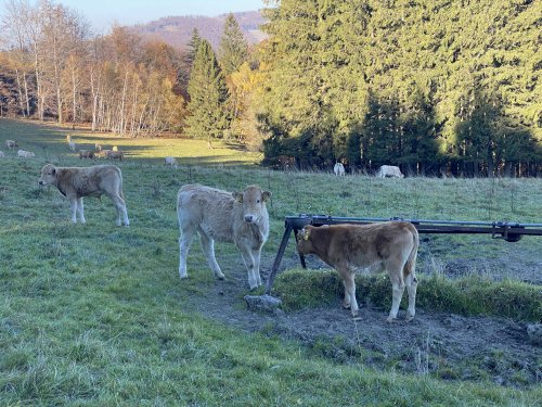 Vycházka na Svatý Hostýn a do Hostýnských vrchů - 29.10.2021