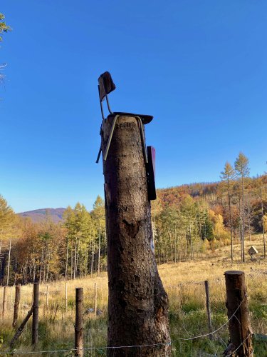 Vycházka na Svatý Hostýn a do Hostýnských vrchů - 29.10.2021