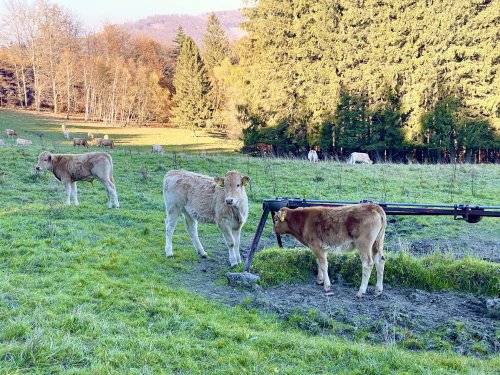 Vycházka na Svatý Hostýn a do Hostýnských vrchů - 29.10.2021