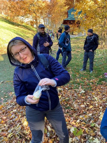 Vycházka na Svatý Hostýn a do Hostýnských vrchů - 29.10.2021