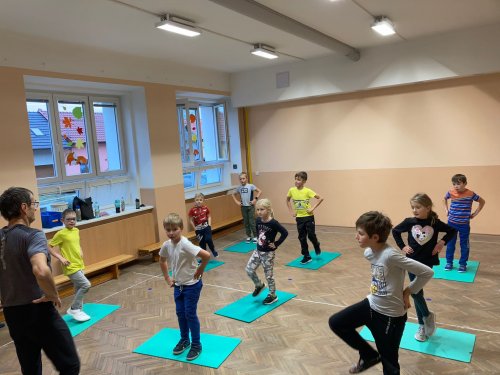 Cvičení sokolů - žáků - 8.11.2021