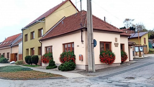 Muškáty na obecních oknech - 14.11.2021