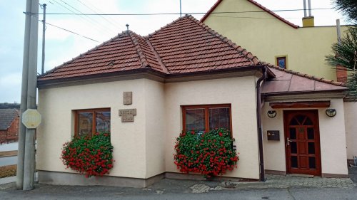 Muškáty na obecních oknech - 14.11.2021