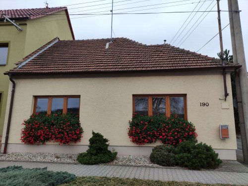 Muškáty na obecních oknech - 14.11.2021