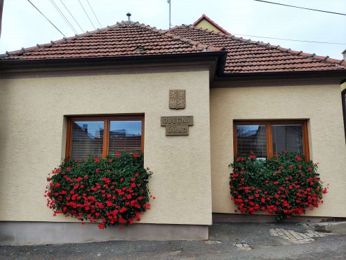 Muškáty na obecních oknech - 14.11.2021