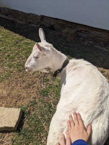 Sokolský výlet na Rochus a Rovninu - 14.4.2022