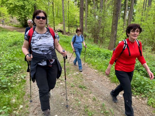 Sokolský výlet na Rešovské vodopády - 8.5.2022