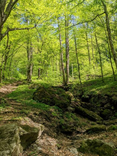 Sokolský výlet na Rešovské vodopády - 8.5.2022