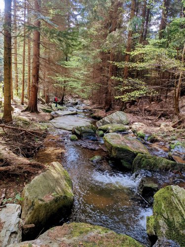 Sokolský výlet na Rešovské vodopády - 8.5.2022