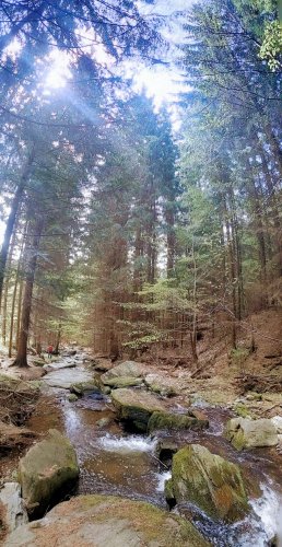 Sokolský výlet na Rešovské vodopády - 8.5.2022