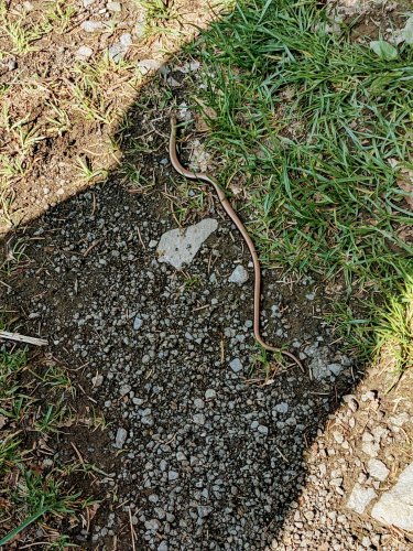 Sokolský výlet na Rešovské vodopády - 8.5.2022