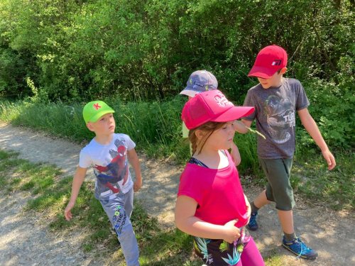 Sokolská vycházka - 10.5.2022