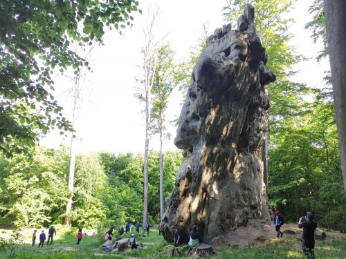 Sokolský "víkendový tábor" ve Vřesovicích - 14.5.2022