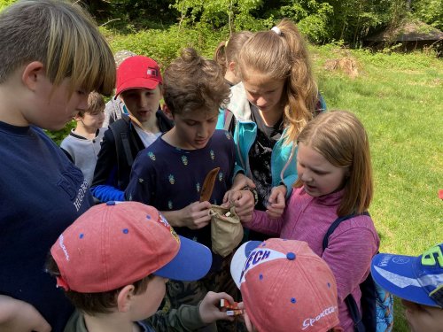 Sokolský "víkendový tábor" ve Vřesovicích - 14.5.2022