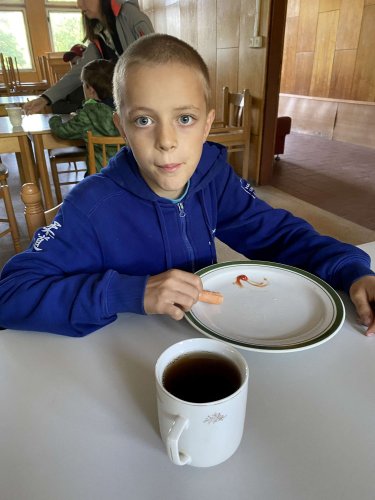 Sokolský "víkendový tábor" ve Vřesovicích - 14.5.2022