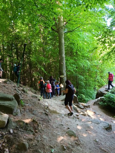 Sokolský "víkendový tábor" ve Vřesovicích - 14.5.2022