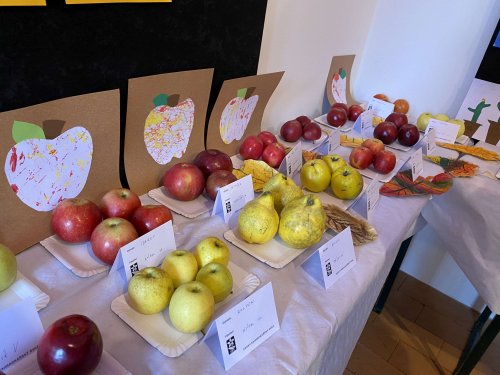 Hody v Podolí - 15.10.2022