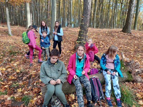 Vycházka turistického oddílu na Brdo - 26.10.2022
