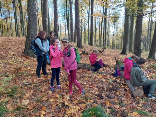 Vycházka turistického oddílu na Brdo - 26.10.2022